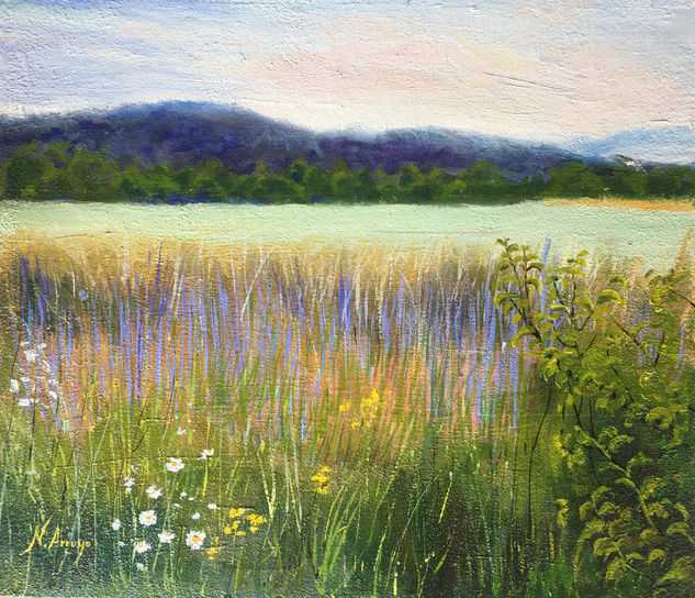 Campo Oil Panel Landscaping