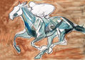 Jinete de carreras