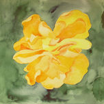 florales thumbnail 1