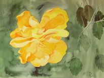 Hibisco doble amarillo