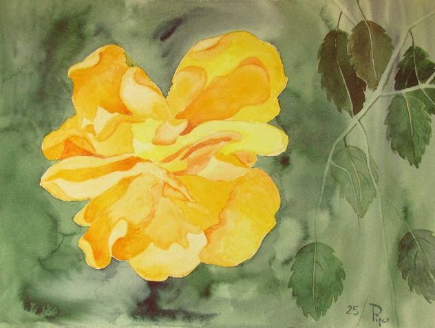 hibisco doble amarillo