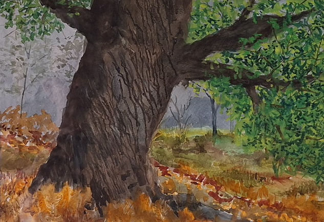 El duende Acuarela Papel Paisaje