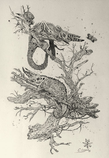 Mimetismo al Vacío Graphite