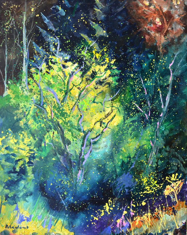 Light in the wood