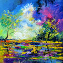 Colourful pond