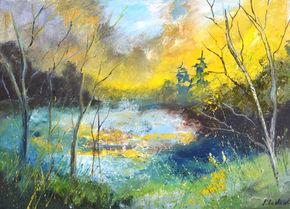 Misty pond