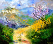 Spring path