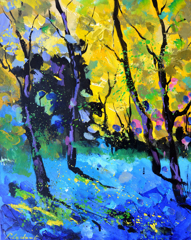 Light in the wood -4525