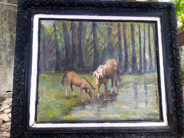 caballos