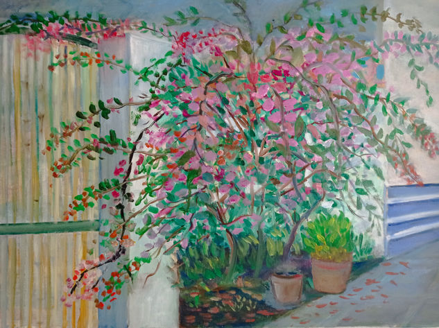 Buganvilla. Oil Canvas Landscaping