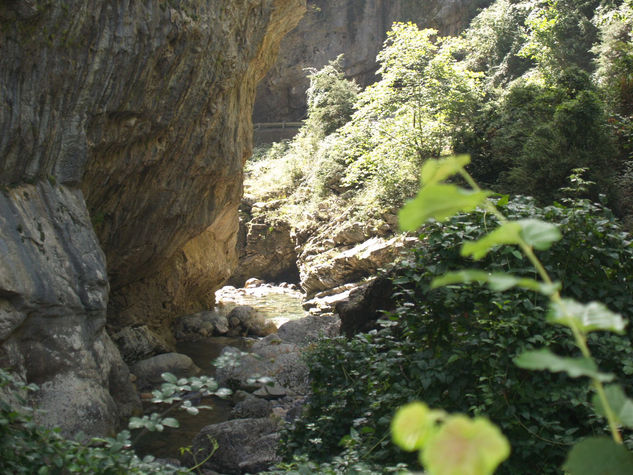 Cañon d'Añisclo Nature Color (Digital)