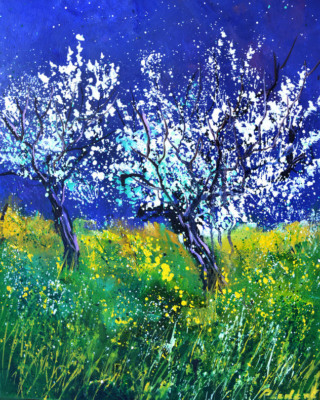 Blooming appletrees