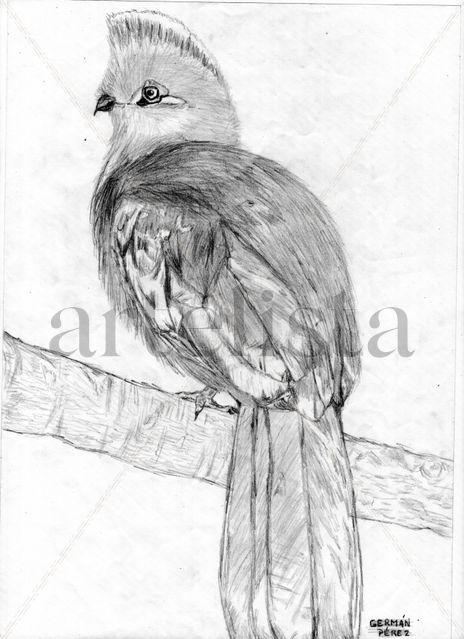 Loro