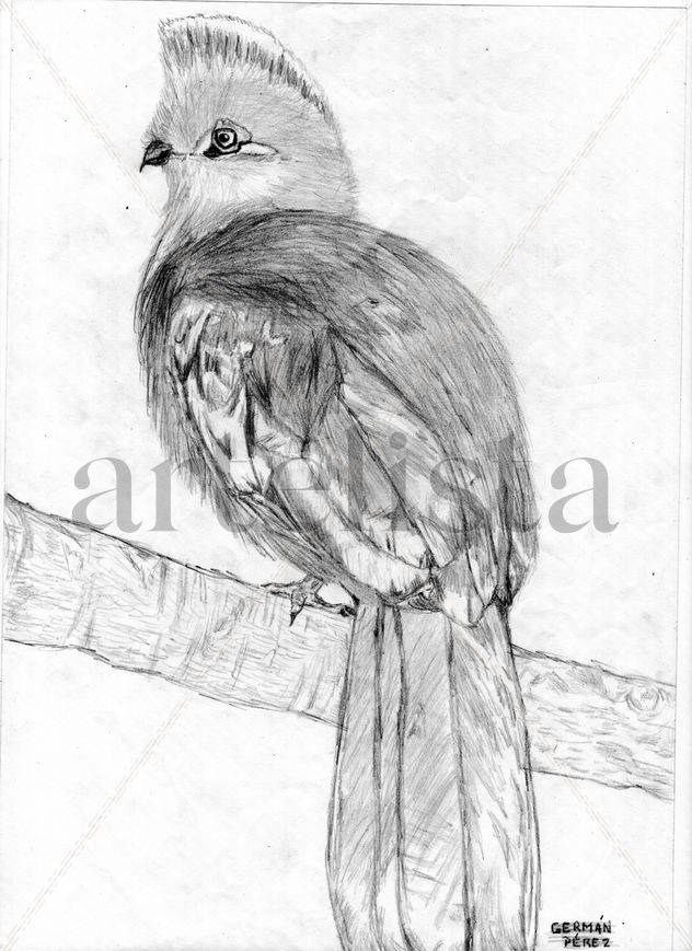 loro