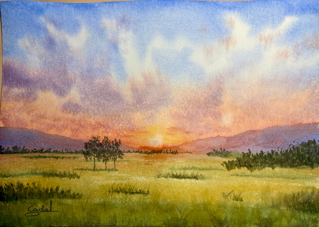Campo naranja Watercolour Paper Landscaping
