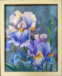 Irises