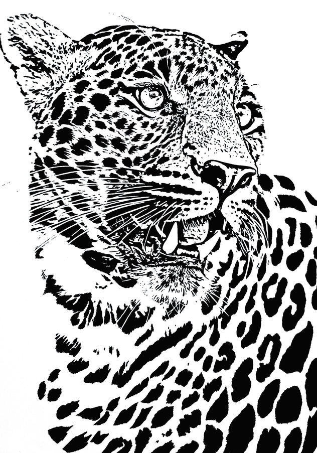 Leopardo