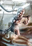 La Morgue