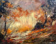 Autumn in the wood