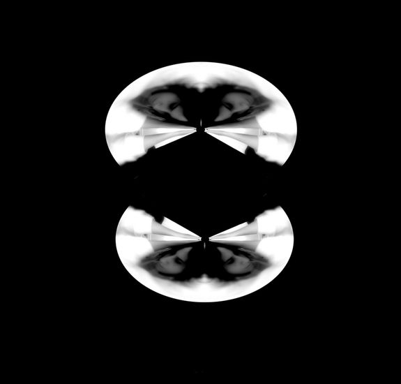 La derecha que amó a la izquierda Conceptual/Abstracto Blanco y Negro (Digital)