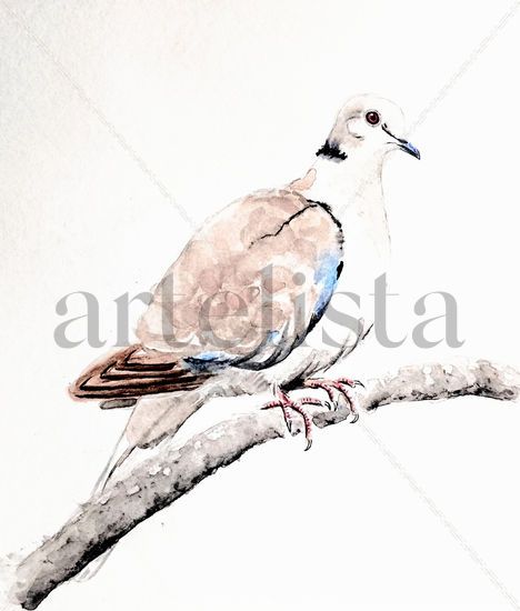 La Tórtola IV Watercolour Paper Animals