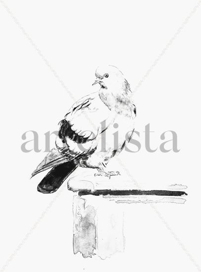 Suavidad / Softness Acuarela Papel Animales