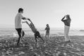 Beach Day Fun