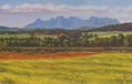 Montserrat en azul