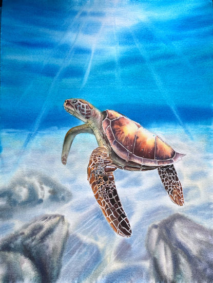 Under the Sea Watercolour Paper Marine Painting