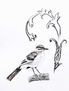 El Sinsonte II / The Mockingbird II