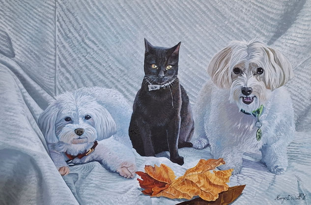 MASCOTAS Acrílico Tela Animales