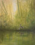 Morning in the forest / Mañana en el bosque