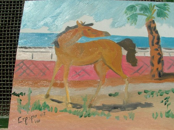 Potrilla a la orilla del mar