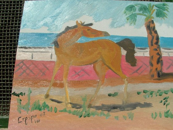 Potrilla a la orilla del mar Oil Canvas Animals