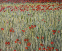 Amapolas
