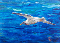 Gaviota