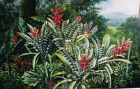 Bromelias