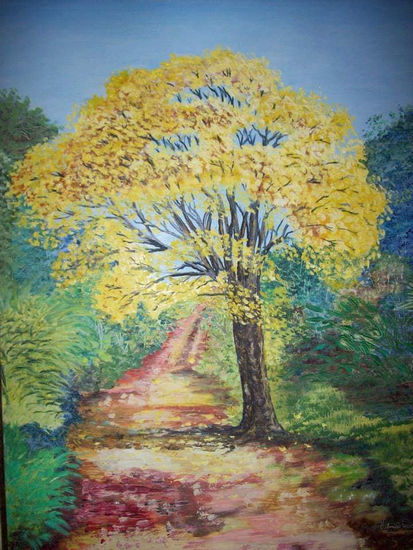 Tajy Paraguayo Oil Textile Landscaping