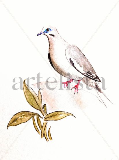 La Tórtola Cordillerana II / The Black-winged Dove II Acuarela Papel Animales