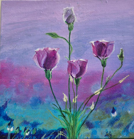 Lilium