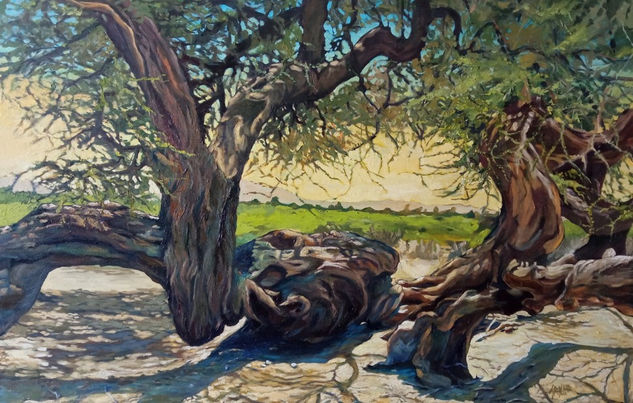 huarango Óleo Tela Paisaje