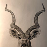 ANIMALES A GRAFITO. Graphite animals thumbnail 2