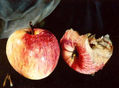 Manzanas