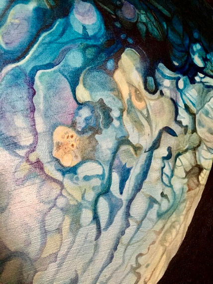Detalle Caracola...