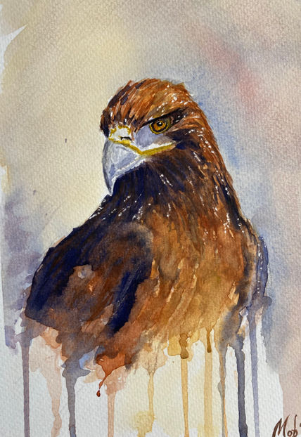 Águila imperial