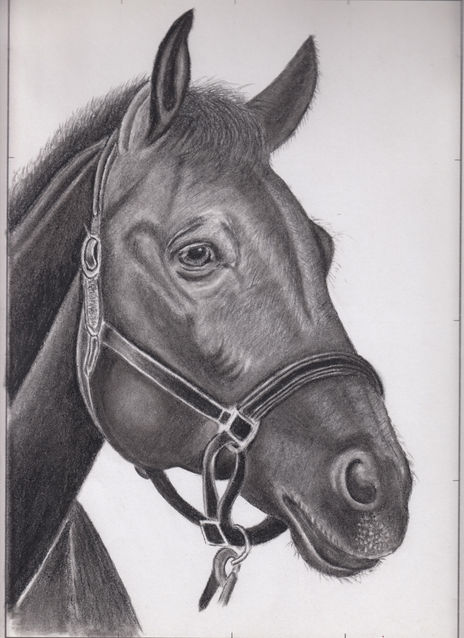 Caballo