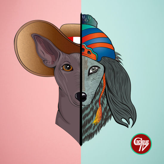 Canes originarios del Perú 