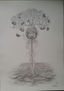 Árbol de la vida