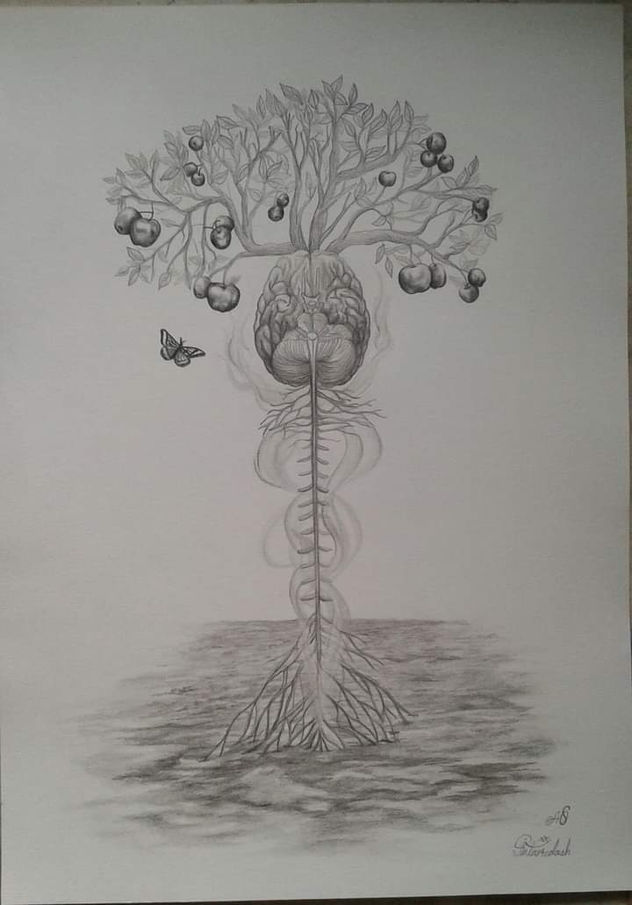 Árbol de la vida
