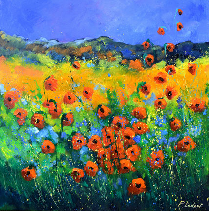 Red poppies